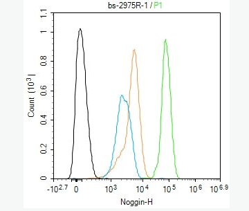 Anti-Noggin antibody -指(趾)關(guān)節(jié)粘連NOG蛋白抗體,Noggin