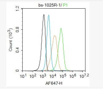 Anti-HGF antibody-肝细胞生长因子α抗体,HGF