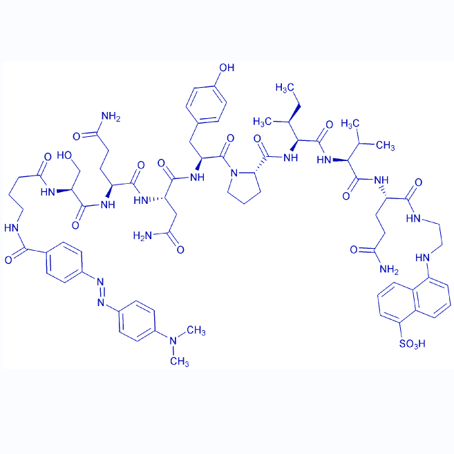 荧光 HIV-1 蛋白酶底物,Dabcyl-Gaba-SQNYPIVQ-Edans