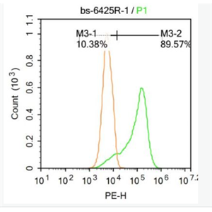 Anti-TRP12/TRPV4 antibody -瞬时受体电位蛋白12抗体