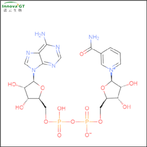 β-烟酰胺腺嘌呤二核苷酸二钠盐