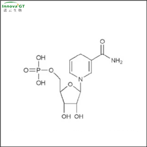 还原型β-烟酰胺单核苷酸