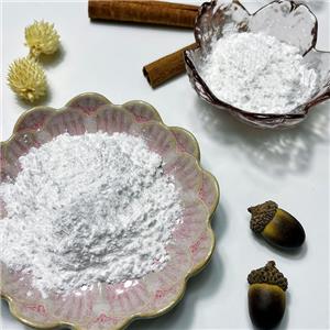 PVDF微粉,PVDF Micropowder