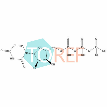 地夸磷索雜質(zhì)B,Diquafosol Impurity B