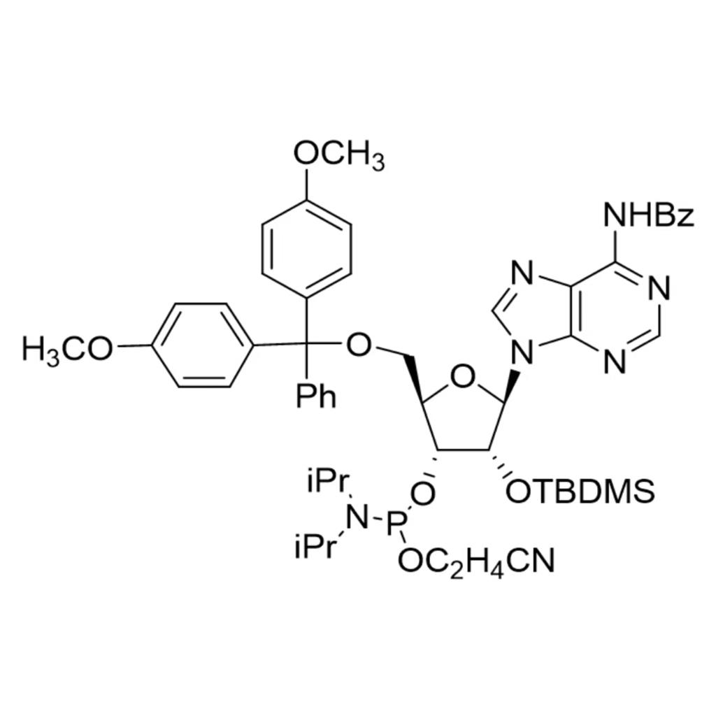 N-苯甲酰基-5'-O-(4,4-二甲氧基三苯甲基)-2'-O-[(叔丁基)二甲基硅基]腺苷-3'-(2-氰基乙基-N,N-二异丙基)亚磷酰胺,N-Benzoyl-5'-O-(4,4-Dimethoxytrityl)-2'-O-[(tert-butyl)dimethylsilyl]adenosine-3'-(2-cyanoethyl-N,N-diisopropyl)phosphoramidite