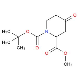 4-氧代-1,2-哌啶二羧酸 1-叔丁酯 2-甲酯