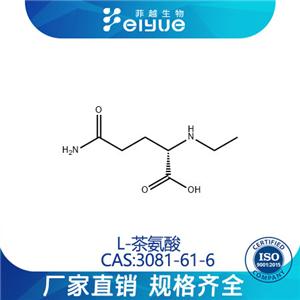 L-茶氨酸原料99%高纯粉--菲越生物