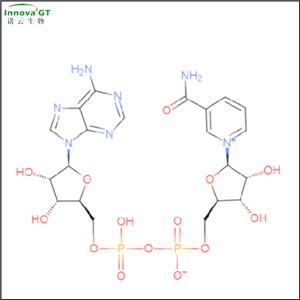 β-烟酰胺腺嘌呤二核苷酸,NAD, β-Nicotinamide adenine dinucleotide