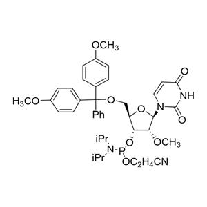 5'-O-(4,4-二甲氧基三苯甲基)-2'-O-甲基尿苷-3'-(2-氰基乙基-N,N-二异丙基)亚磷酰胺 6级