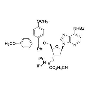 5'-O-(4,4'-二甲氧基三苯基)-N6-苯甲酰基-2'-脱氧腺苷-3'-(2-氰乙基-N,N-二异丙基)亚磷酰胺