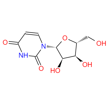 尿苷,Uridine