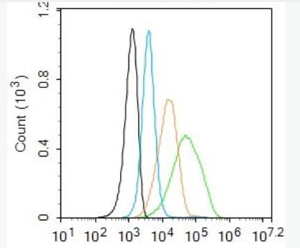 Anti-TGF beta Receptor Iantibody-轉(zhuǎn)移生長(zhǎng)因子β受體1抗體,TGF beta Receptor I