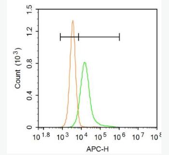 Anti-CXCL16 antibody-CXC趋化因子16抗体,CXCL16