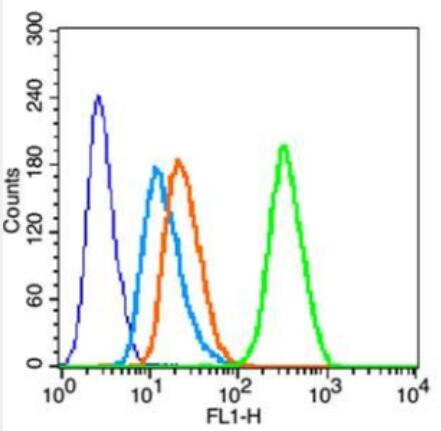 Anti-MUC1  antibody-粘蛋白-1抗体,MUC1