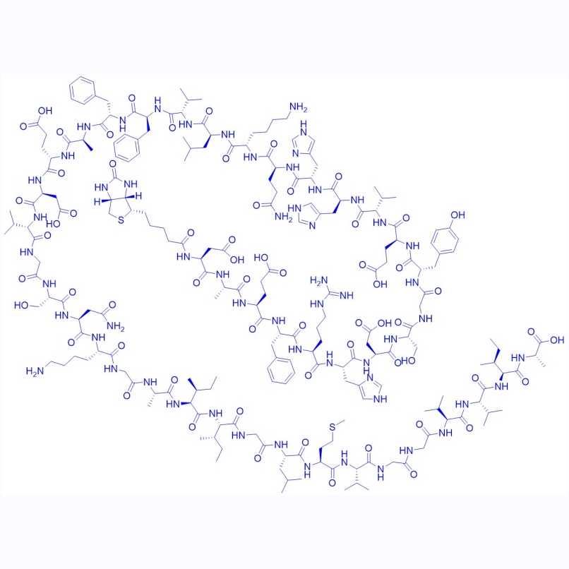 生物素標(biāo)記淀粉樣肽,Biotinyl-Amyloid β-Protein (1-42)