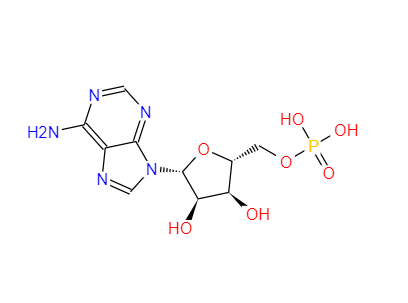 5'-腺苷酸,Adenosine 5'-monophosphate