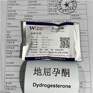 地屈孕酮/去氢孕酮,Dydrogesterone