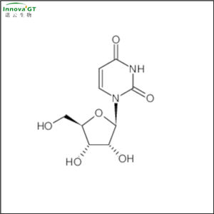 尿苷,UR, Uridine