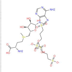 S-腺苷蛋氨酸 1,4-丁二磺酸盐 101020-79-5