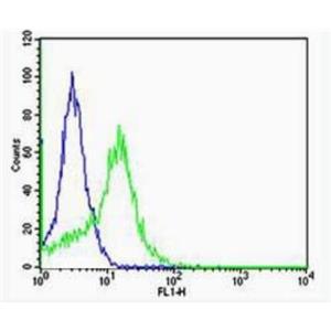 Anti-Integrin Alpha V + Beta 5 antibody-整合素αVβ5抗体