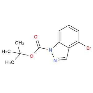 1-BOC-4-溴-1H-吲唑