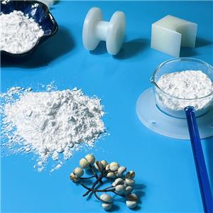 PTFE分散细粉挤管专用树脂,PTFE fine powder Resin  for extrusion