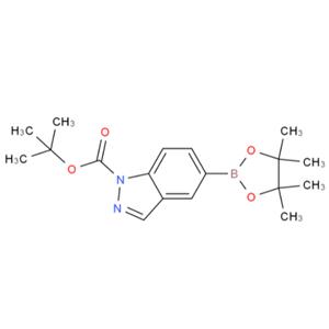 5-(4,4,5,5-四甲基-1,3,2-二氧硼烷-2-基)-1H-吲哒唑-1-甲酸叔丁酯