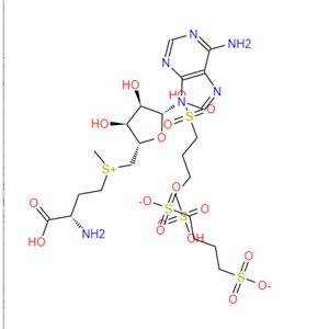 S-腺苷蛋氨酸 1,4-丁二磺酸鹽