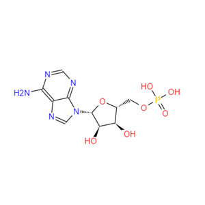 5'-腺苷酸