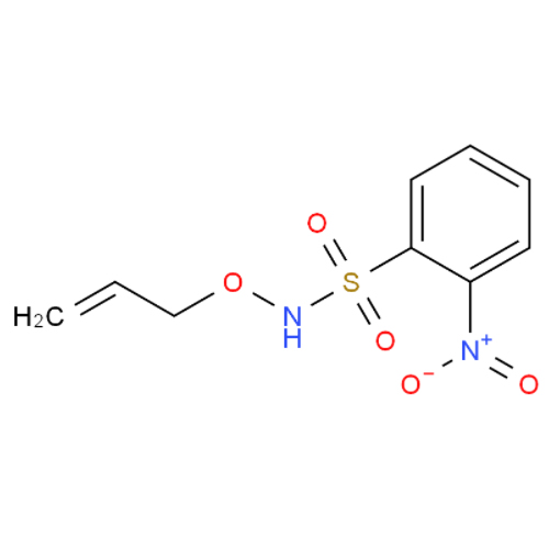 N-(烯丙氧基)-2-硝基苯磺酰胺,N-(Allyloxy)-2-nitrobenzenesulfonaMide