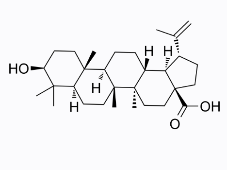 Betulic acid;Lupatic acid;ALS-357