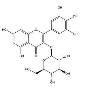 杨梅素-3-O-葡萄糖苷_19833-12-6
