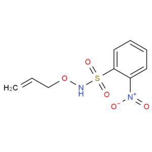 N-(烯丙氧基)-2-硝基苯磺酰胺