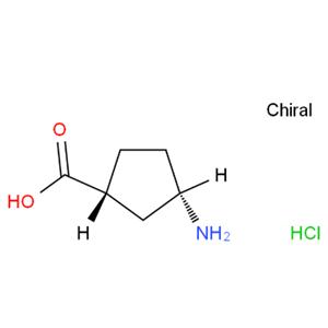 CIS-3-AMINOCYCLOPENTANE-1-CARBOXYLIC-ACID HYDROCHLORIDE 1G