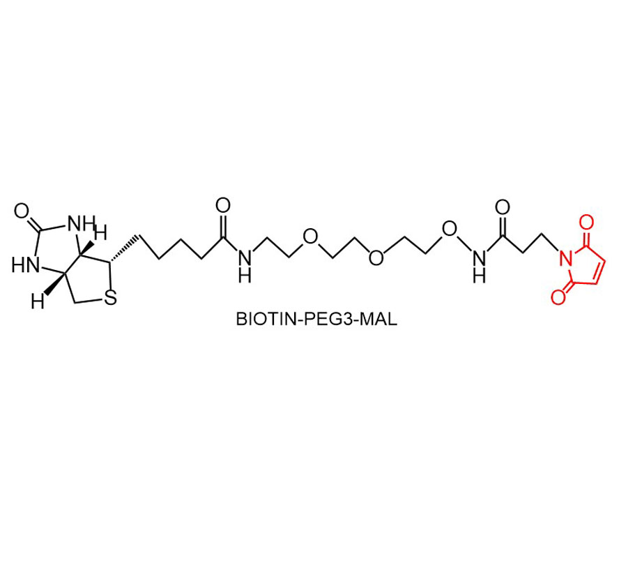 生物素聚乙二醇3马来酰亚胺,Biotin-PEG3-Mal