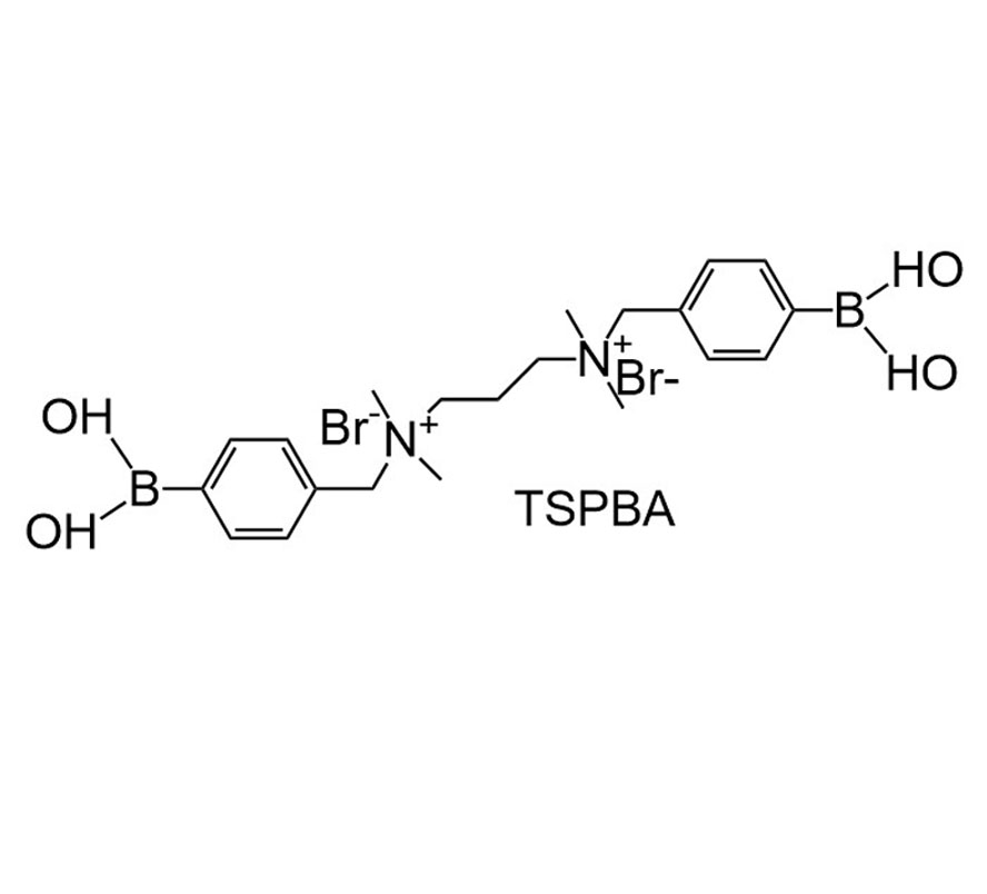 活性氧响应性交联剂,TSPBA