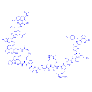乙酰促肾上腺皮质激素(2-24)(人、牛、大鼠),Acetyl-ACTH (2-24) (human, bovine, rat)