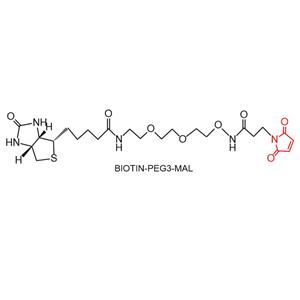 生物素聚乙二醇3马来酰亚胺,Biotin-PEG3-Mal,1431618-70-0