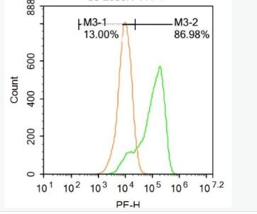 Anti-PTGES2 antibody-前列腺素E合成酶2抗体,PTGES2