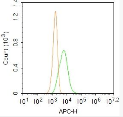 Anti-ST2 antibody-白細(xì)胞介素1受體相關(guān)蛋白抗體,ST2