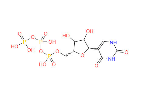 假尿苷三磷酸,Pseudouridine 5’-Triphosphate
