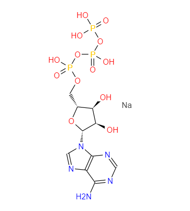 三磷酸腺苷二钠,ATP trisodium salt