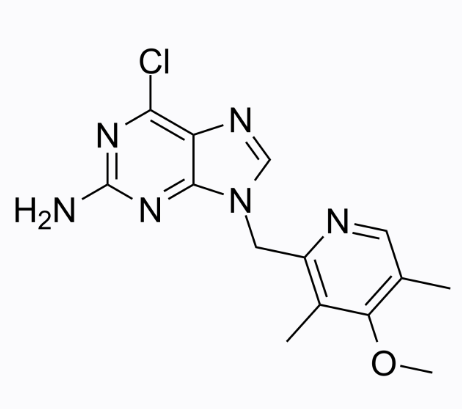 BIIB 021;BIIB-021;CNF2024