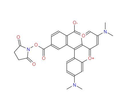 6-羧基四甲基罗丹明琥珀酰亚胺酯,6-TAMRA-SE