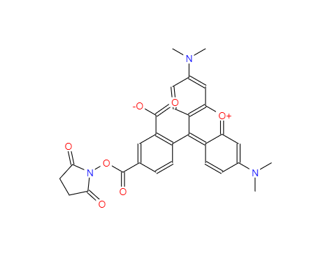 5-羧基四甲基罗丹明琥珀酰亚胺酯,5-TAMRA-SE