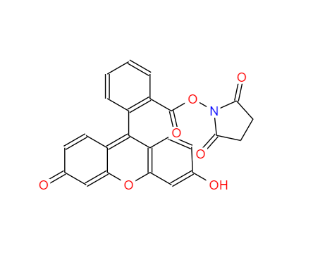 5(6)-羧基荧光素琥珀酰亚胺酯,5(6)-FAM SE