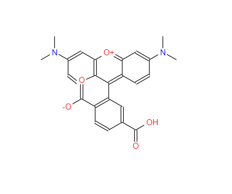 6-羧基四甲基羅丹明,6-TAMRA