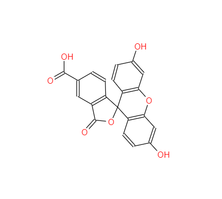 5-羧基熒光素,5-FAM