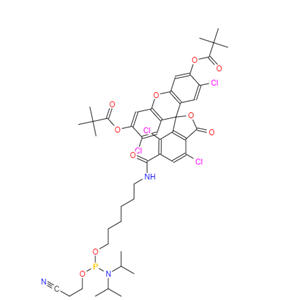 6-TET氨基磷酸酯[5'-四氯荧光素氨基磷酸酯]