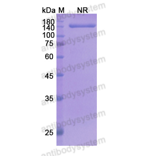 奧侖達(dá)利珠單抗/侖達(dá)利珠單抗,Research Grade Olendalizumab  (DHB90003)